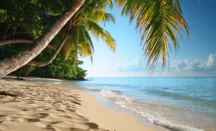 découvrez le climat agréable de la république dominicaine en décembre, avec des températures douces, des journées ensoleillées et des conditions idéales pour profiter des plages et des activités en plein air.