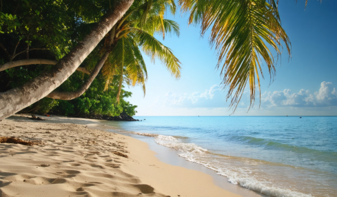 découvrez le climat agréable de la république dominicaine en décembre, avec des températures douces, des journées ensoleillées et des conditions idéales pour profiter des plages et des activités en plein air.