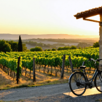 découvrez le charme enchanteur de la provence à vélo grâce à notre guide ultime. explorez des paysages pittoresques, des villages pittoresques et des routes à couper le souffle tout en savourant la culture locale et la gastronomie. préparez-vous à vivre une aventure inoubliable au cœur de cette magnifique région de france.