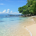 découvrez la période idéale pour visiter bali et profitez pleinement de ses paysages enchanteurs, de sa culture vibrante et de ses plages paradisiaques. apprenez quand partir pour vivre une expérience inoubliable sur cette île indonésienne.
