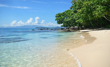 découvrez la période idéale pour visiter bali et profitez pleinement de ses paysages enchanteurs, de sa culture vibrante et de ses plages paradisiaques. apprenez quand partir pour vivre une expérience inoubliable sur cette île indonésienne.
