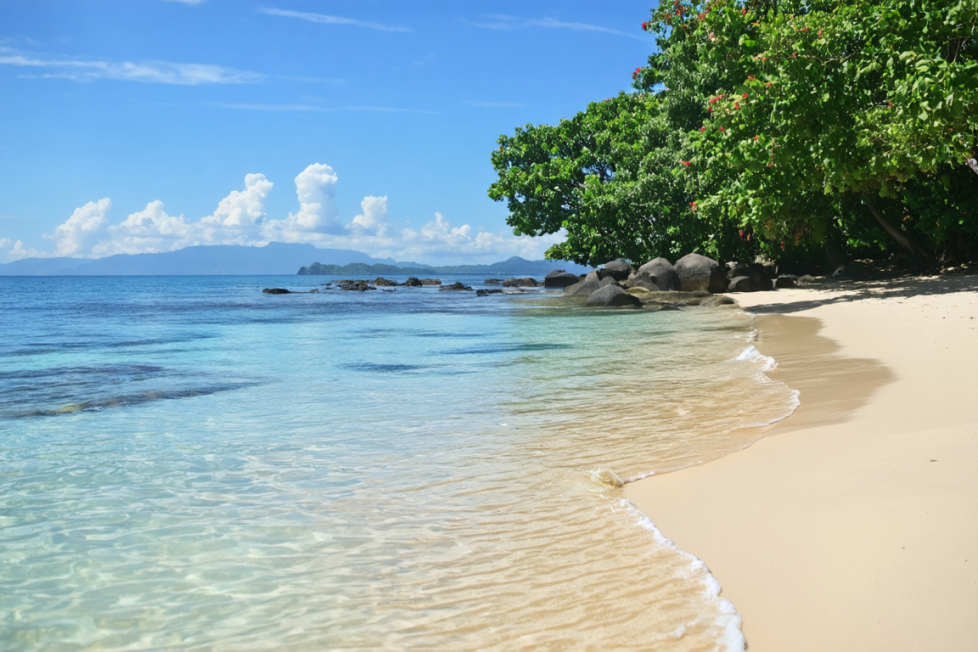 découvrez la période idéale pour visiter bali et profitez pleinement de ses paysages enchanteurs, de sa culture vibrante et de ses plages paradisiaques. apprenez quand partir pour vivre une expérience inoubliable sur cette île indonésienne.