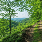 explorez la vallée de chevreuse et laissez-vous envoûter par ses villages enchanteurs. découvrez des paysages pittoresques, une riche histoire et des traditions authentiques dans cette région captivante.