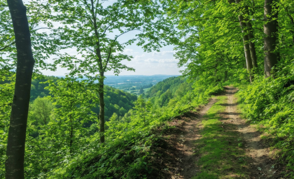 explorez la vallée de chevreuse et laissez-vous envoûter par ses villages enchanteurs. découvrez des paysages pittoresques, une riche histoire et des traditions authentiques dans cette région captivante.