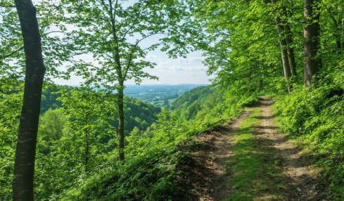 explorez la vallée de chevreuse et laissez-vous envoûter par ses villages enchanteurs. découvrez des paysages pittoresques, une riche histoire et des traditions authentiques dans cette région captivante.