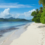 découvrez la durée moyenne d’un vol pour la martinique au départ des principales villes, ainsi que les facteurs pouvant influencer le temps de trajet vers cette destination des caraïbes.