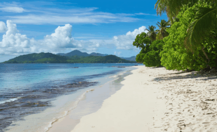 découvrez la durée moyenne d’un vol pour la martinique au départ des principales villes, ainsi que les facteurs pouvant influencer le temps de trajet vers cette destination des caraïbes.