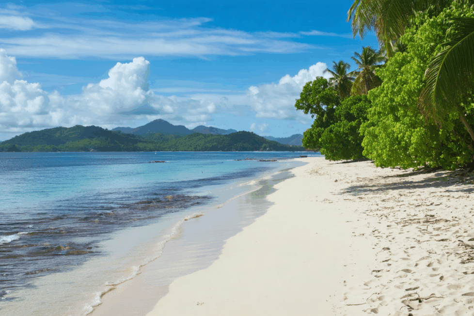 découvrez la durée moyenne d’un vol pour la martinique au départ des principales villes, ainsi que les facteurs pouvant influencer le temps de trajet vers cette destination des caraïbes.
