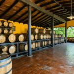 découvrez les meilleures activités à faire en guadeloupe lorsqu'il pleut : musées, visites culturelles, spas, dégustations culinaires et idées originales pour profiter de l'île même par temps humide.