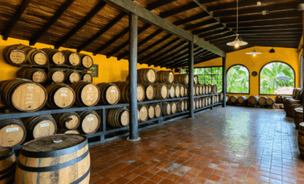 découvrez les meilleures activités à faire en guadeloupe lorsqu'il pleut : musées, visites culturelles, spas, dégustations culinaires et idées originales pour profiter de l'île même par temps humide.