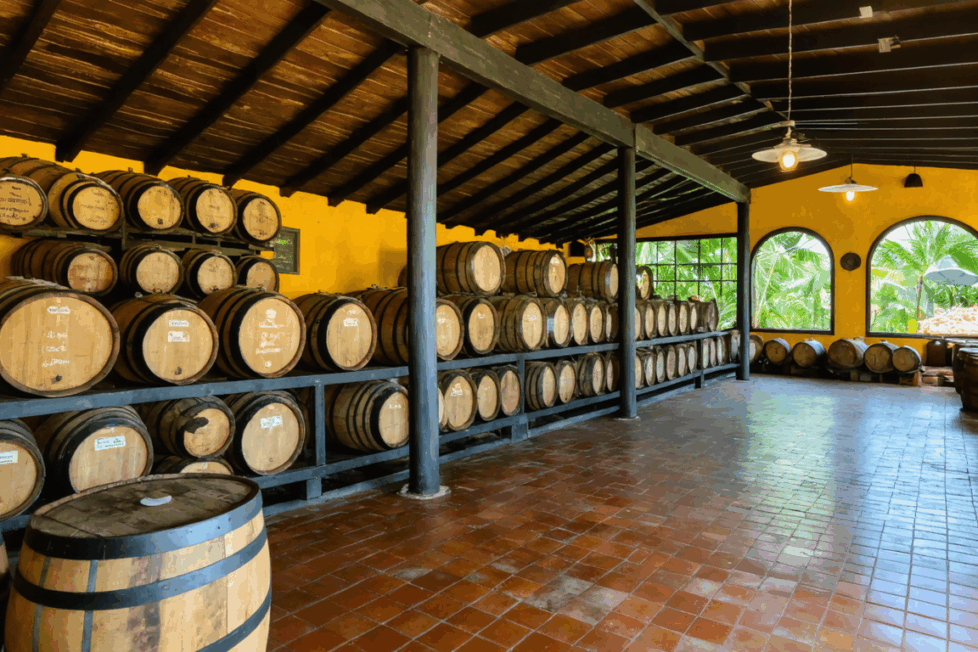découvrez les meilleures activités à faire en guadeloupe lorsqu'il pleut : musées, visites culturelles, spas, dégustations culinaires et idées originales pour profiter de l'île même par temps humide.