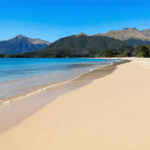 découvrez golden bay en nouvelle-zélande, une destination unique entre mer cristalline et montagnes majestueuses. partez à la rencontre de paysages préservés, d'activités de plein air et d'une atmosphère paisible idéale pour se ressourcer.
