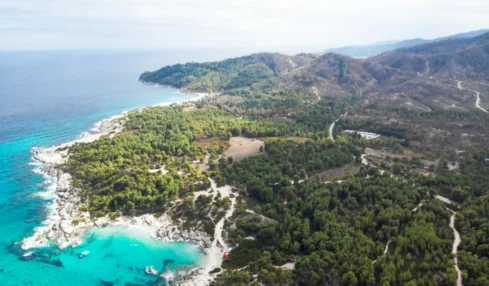 Partir à La Réunion : tout ce qu’il faut savoir avant votre vol