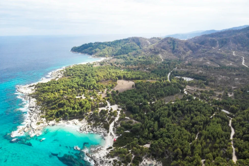 Partir à La Réunion : tout ce qu’il faut savoir avant votre vol