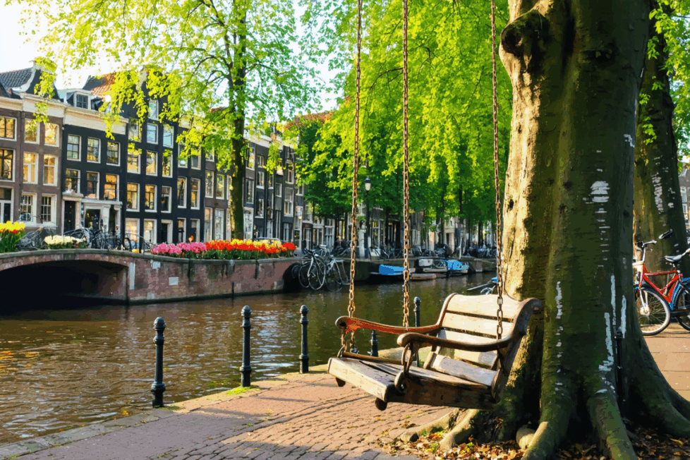 découvrez la balançoire à amsterdam, une expérience unique et incontournable qui vous offre des vues imprenables et des moments de joie inoubliables au cœur de la ville.