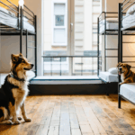 découvrez les meilleurs hôtels pet-friendly à lyon pour un séjour inoubliable avec votre animal de compagnie. profitez de services adaptés et d’un accueil chaleureux pour voyager sereinement avec votre chien ou chat!