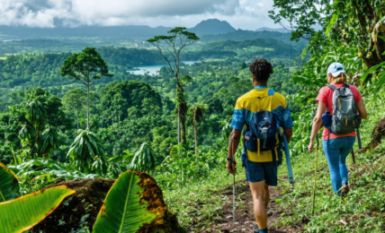 explorez les activités touristiques écoresponsables en martinique et découvrez des expériences uniques alliant nature, respect de l'environnement et développement durable.