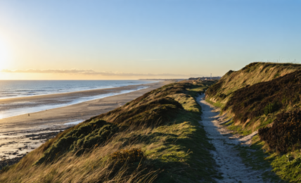 explorez boulogne avec notre guide complet des activités incontournables : visites, loisirs, gastronomie et événements pour une expérience inoubliable.
