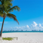 explorez miami avec nos conseils pratiques pour un voyage inoubliable : attractions incontournables, astuces locales, hébergements et bons plans pour profiter pleinement de la ville.