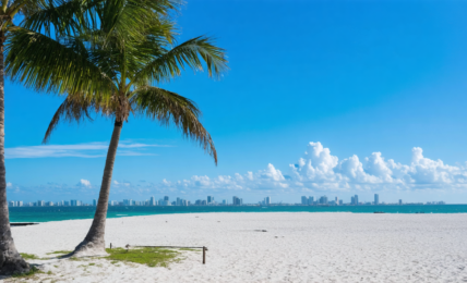 explorez miami avec nos conseils pratiques pour un voyage inoubliable : attractions incontournables, astuces locales, hébergements et bons plans pour profiter pleinement de la ville.