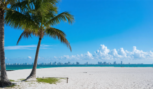 explorez miami avec nos conseils pratiques pour un voyage inoubliable : attractions incontournables, astuces locales, hébergements et bons plans pour profiter pleinement de la ville.