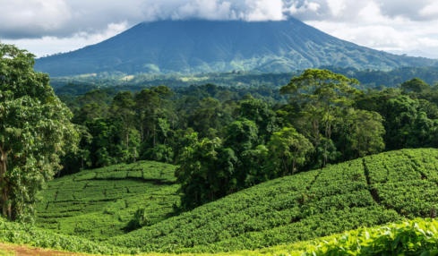 explorez le panama autrement avec terra panama, votre agence locale francophone. vivez des voyages authentiques et personnalisés au cœur de la culture panaméenne.