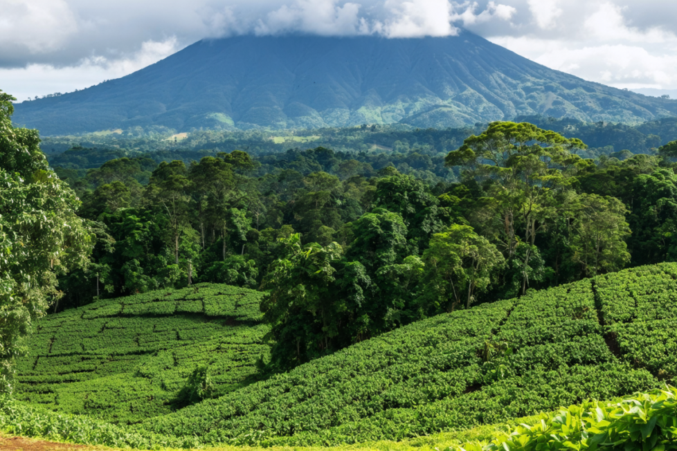 explorez le panama autrement avec terra panama, votre agence locale francophone. vivez des voyages authentiques et personnalisés au cœur de la culture panaméenne.