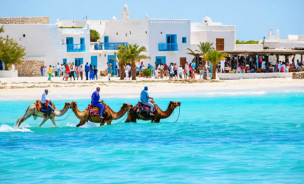 partez à l'aventure à djerba et explorez les activités incontournables : plages paradisiaques, marchés traditionnels, sites culturels et expériences locales uniques à ne pas manquer.