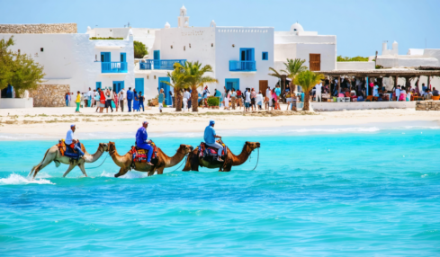partez à l'aventure à djerba et explorez les activités incontournables : plages paradisiaques, marchés traditionnels, sites culturels et expériences locales uniques à ne pas manquer.