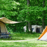 découvrez strasbourg tout en profitant d'un séjour en camping proche du centre-ville, pour une expérience alliant nature et culture à quelques pas des attractions principales.
