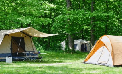 découvrez strasbourg tout en profitant d'un séjour en camping proche du centre-ville, pour une expérience alliant nature et culture à quelques pas des attractions principales.