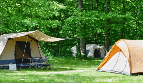 découvrez strasbourg tout en profitant d'un séjour en camping proche du centre-ville, pour une expérience alliant nature et culture à quelques pas des attractions principales.