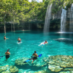 découvrez le cénote cocalitos grâce à notre guide complet : conseils pratiques, meilleures périodes pour visiter et astuces pour profiter pleinement de cette merveille naturelle inoubliable.