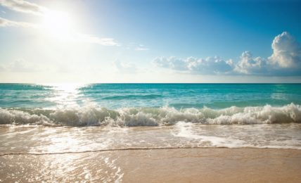 découvrez les expressions incontournables pour souhaiter de bonnes vacances avec aisance et convivialité. maîtrisez ces formules essentielles pour des messages chaleureux et réussis.