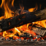 découvrez les cinq essences de bois à éviter absolument dans votre poêle à bois pour garantir sécurité, performance et longévité de votre installation de chauffage.