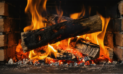 découvrez les cinq essences de bois à éviter absolument dans votre poêle à bois pour garantir sécurité, performance et longévité de votre installation de chauffage.