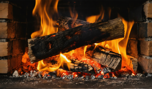 découvrez les cinq essences de bois à éviter absolument dans votre poêle à bois pour garantir sécurité, performance et longévité de votre installation de chauffage.