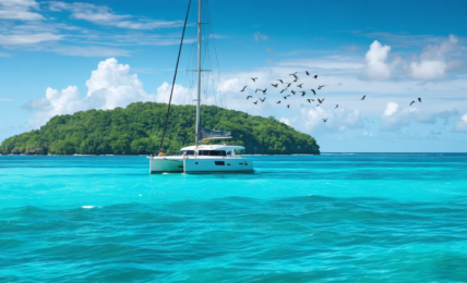 découvrez la martinique autrement en naviguant en catamaran. plongez au cœur des îles pour une expérience authentique et inoubliable entre mer turquoise et paysages paradisiaques.