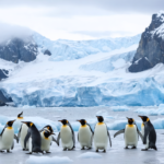 explorez notre liste complète des pays commençant par la lettre f et découvrez les trésors et avantages uniques que chaque destination offre aux voyageurs.