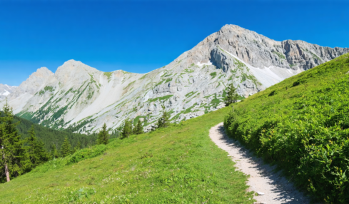 découvrez altituderando, votre guide ultime pour trouver facilement la randonnée idéale. explorez des parcours adaptés à tous les niveaux et vivez des aventures inoubliables en pleine nature.