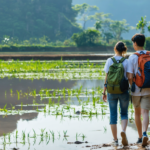 découvrez des escapades abordables parfaites pour les jeunes couples. explorez notre sélection de destinations idéales pour une aventure romantique et économique.