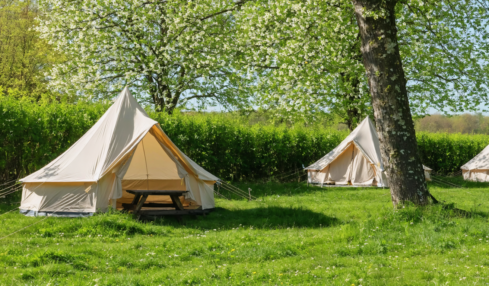 découvrez épône, charmante commune des yvelines, et profitez d'une escapade captivante entre histoire, nature et culture au cœur de la région île-de-france.