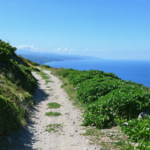 découvrez les pyrénées-orientales en séjournant dans un hôtel en bord de mer, profitez des plages, des paysages magnifiques et d'une expérience inoubliable entre mer et montagne.