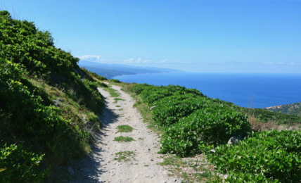 découvrez les pyrénées-orientales en séjournant dans un hôtel en bord de mer, profitez des plages, des paysages magnifiques et d'une expérience inoubliable entre mer et montagne.
