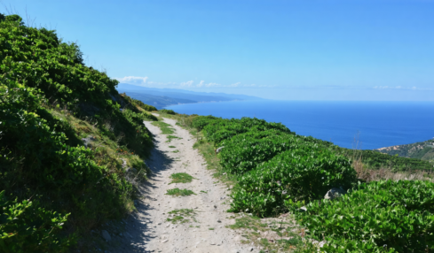 découvrez les pyrénées-orientales en séjournant dans un hôtel en bord de mer, profitez des plages, des paysages magnifiques et d'une expérience inoubliable entre mer et montagne.