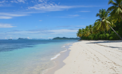 découvrez notre guide complet pour planifier un voyage inoubliable en thaïlande, avec conseils pratiques, itinéraires incontournables et astuces pour une expérience unique.