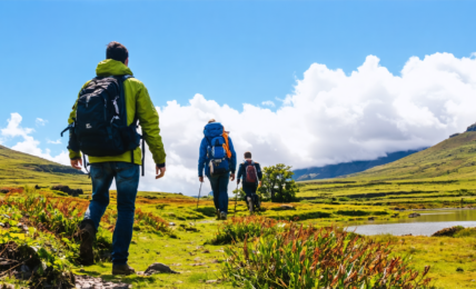 explorez partirou, le site incontournable pour les passionnés de tourisme, et trouvez des conseils, astuces et inspirations pour vos prochaines aventures.