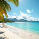 Explorez les joyaux côtiers incontournables de la Martinique en 2023