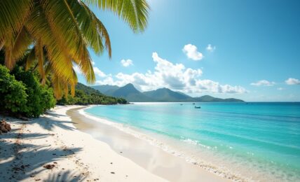 Explorez les joyaux côtiers incontournables de la Martinique en 2023