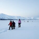 Nuit polaire en Laponie : le guide essentiel pour une aventure inoubliable